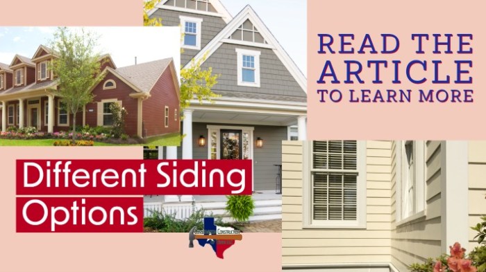 Durable Siding Options A Comprehensive Guide